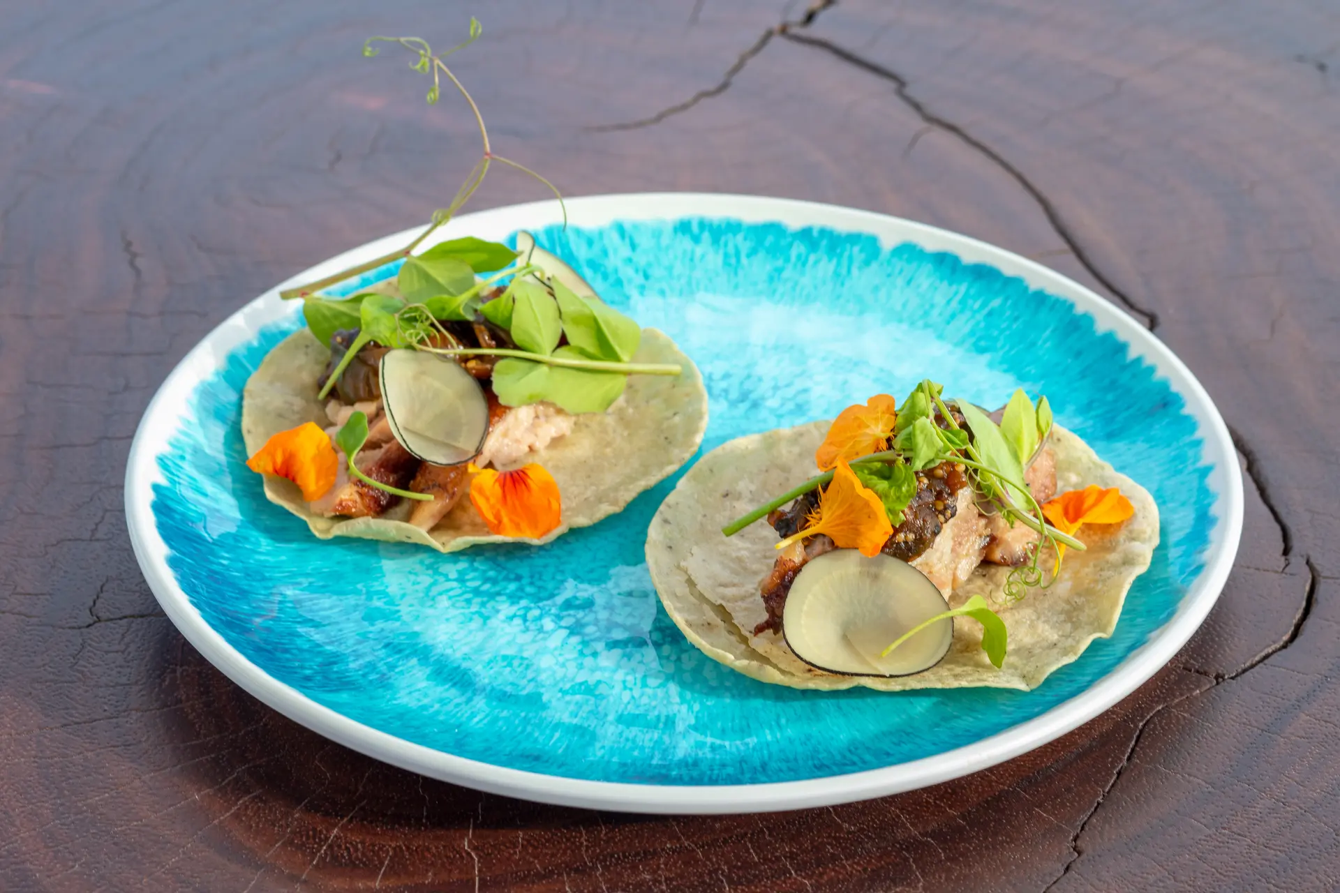 CEVICHE TOUR