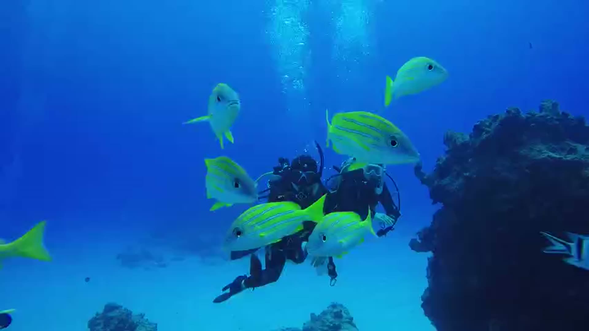 Mar de Cortés, aguas profundas de Baja California Sur