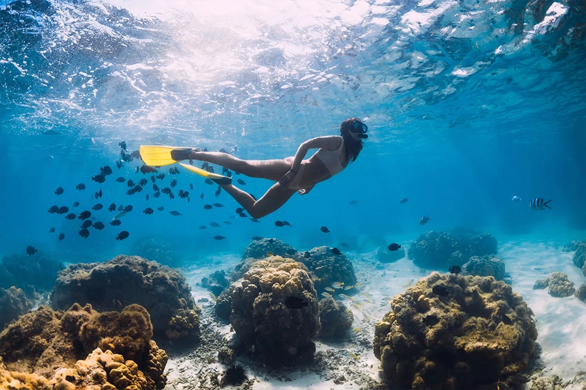 Snorkel en aguas claras